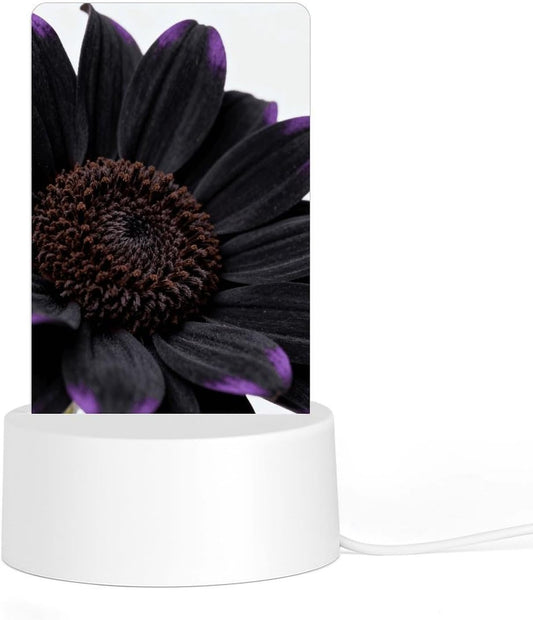 Black Daisy Night Light Designed Cute Acrylic Lamp Elegantly Soft Glow Led Bedside Light Plug Into Wall Nightlights Adjustable Brightness for Bathroom, Hallway, Bedroom
